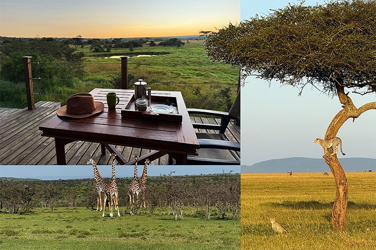 Safari Lodge in Kenya (2026): What It Really Feels Like — Worth It or Overhyped?