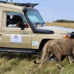 Safari Lodge in Kenya (2026): What It Really Feels Like — Worth It or Overhyped?