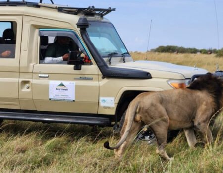 Safari Lodge in Kenya (2026): What It Really Feels Like — Worth It or Overhyped?