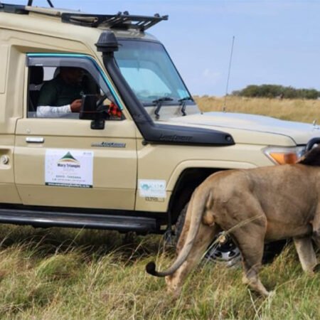 Safari Lodge in Kenya (2026): What It Really Feels Like — Worth It or Overhyped?