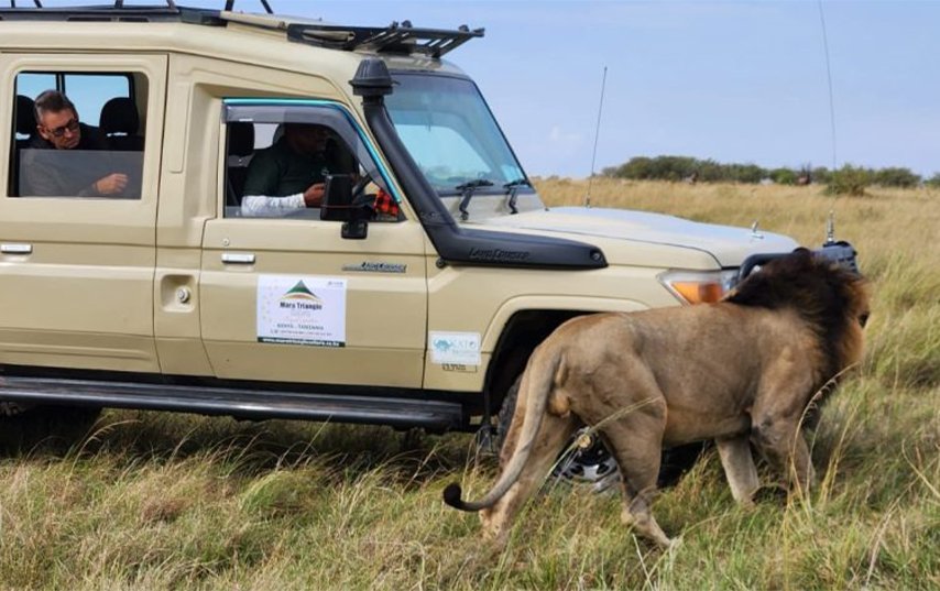 Safari Lodge in Kenya (2026): What It Really Feels Like — Worth It or Overhyped?